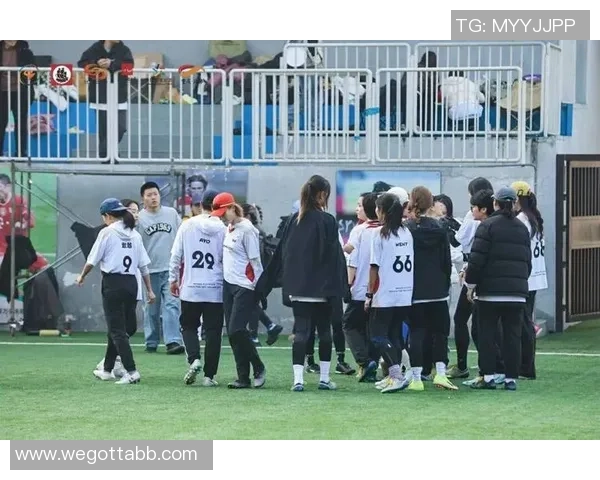 广州飞盘队实力引发热议球迷对其表现褒贬不一的背后故事